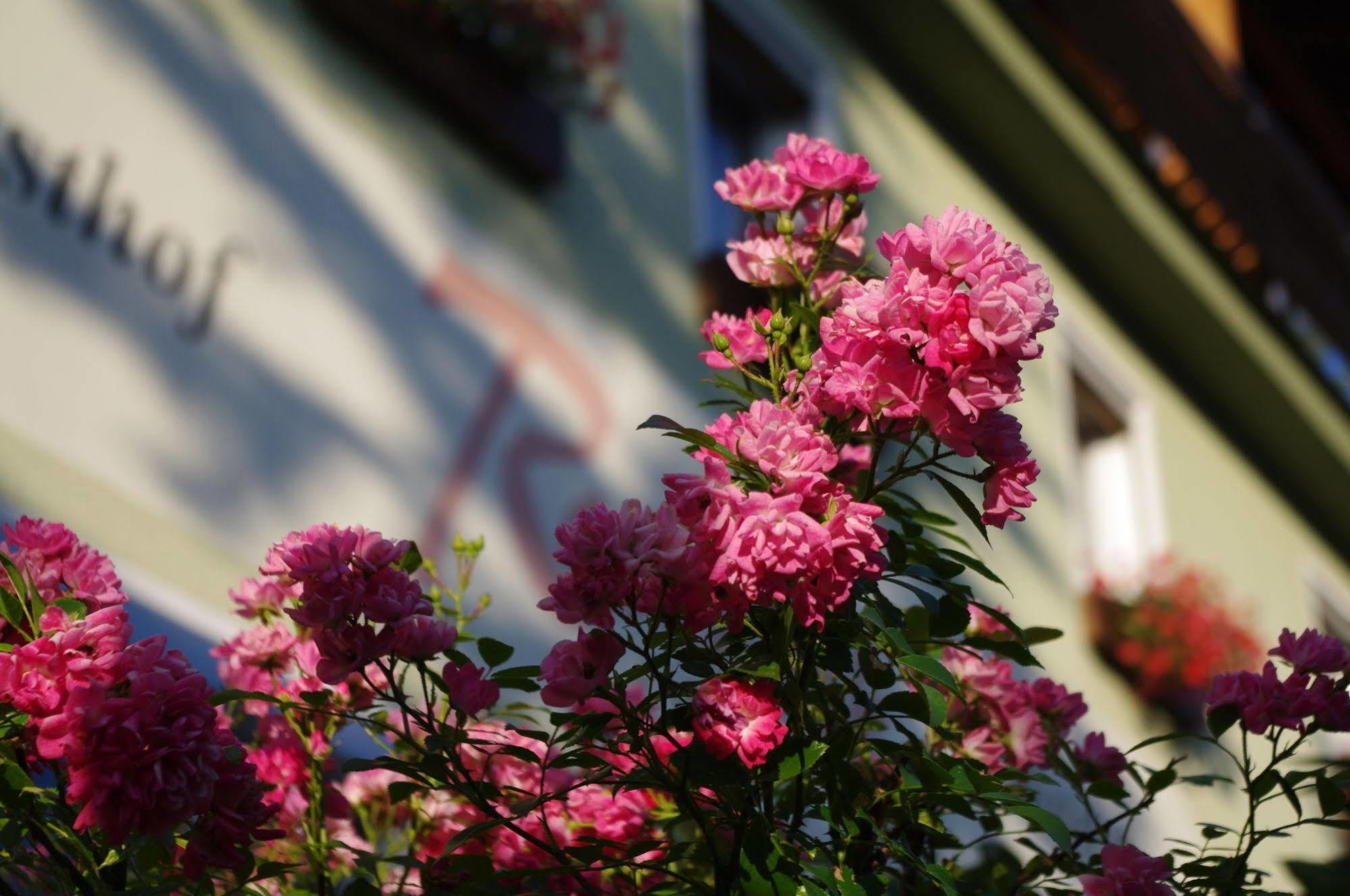 Gasthof Roseneck Wallenfels ภายนอก รูปภาพ